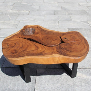 Couchtisch Baumscheibe, Baumscheibe Tisch, Holzstamm Tisch 101cm