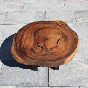 Couchtisch aus Baumstamm, rund Salontisch, Baumscheibe Tisch 84cm