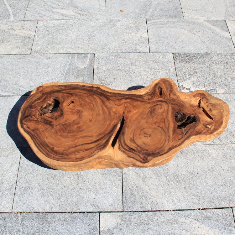 Salontisch Holz, Baumstamm Couchtisch, Wohnzimmertisch Suar 120cm