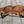Laden Sie das Bild in den Galerie-Viewer, Salontisch Holz, Baumstamm Couchtisch, Wohnzimmertisch Suar 120cm