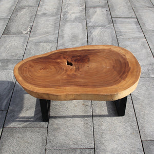 ovaler Tropenholz Tisch, Baumstamm Tisch oval, Baumstammtisch kaufen