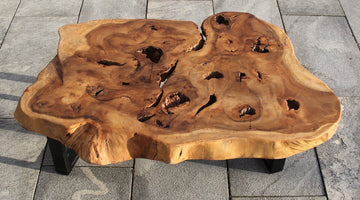 Baumscheibe Couchtische in Perfektion – Drei Meisterwerke aus massivem Akazienholz