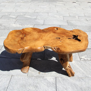 Wurzeltisch aus massivem Teak-Wurzelholz mit organischer Naturform, fein geschliffen und unversiegelt, handgefertigtes Unikat-Couchtisch für Wohnzimmer, Lounge oder Garten in der Schweiz`