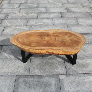 XXL Baumstamm Couchtisch 121–160 cm – große Unikate | ab Lager Schaffhausen