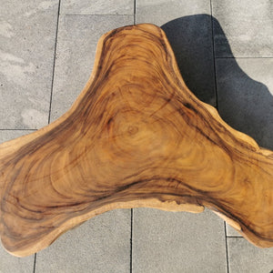 Couchtisch aus Baumscheibe, Baumstamm Tisch, Holzstammtisch 110cm