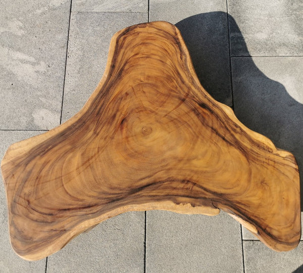 Baumscheibe Couchtisch, Baumscheibe Tisch, Holzstammtisch 110cm