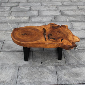 Baumscheibe Couchtisch, Holzstammtisch, Baumstamm Couchtisch 120cm