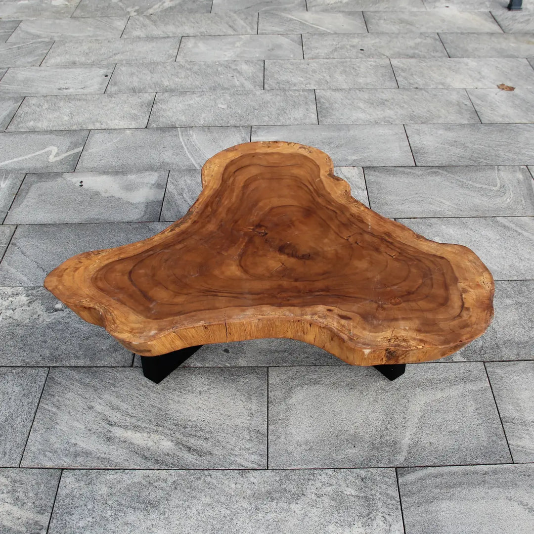 Baumscheibe Couchtisch Akazie (Naturform) 114×110×43 cm – 9 cm massiv, Unikat