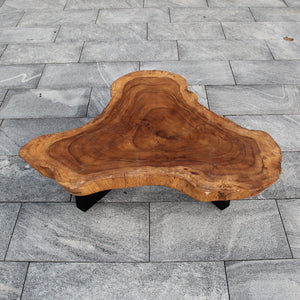Baumscheibe Couchtisch Akazie (Naturform) 114×110×43 cm – 9 cm massiv, Unikat
