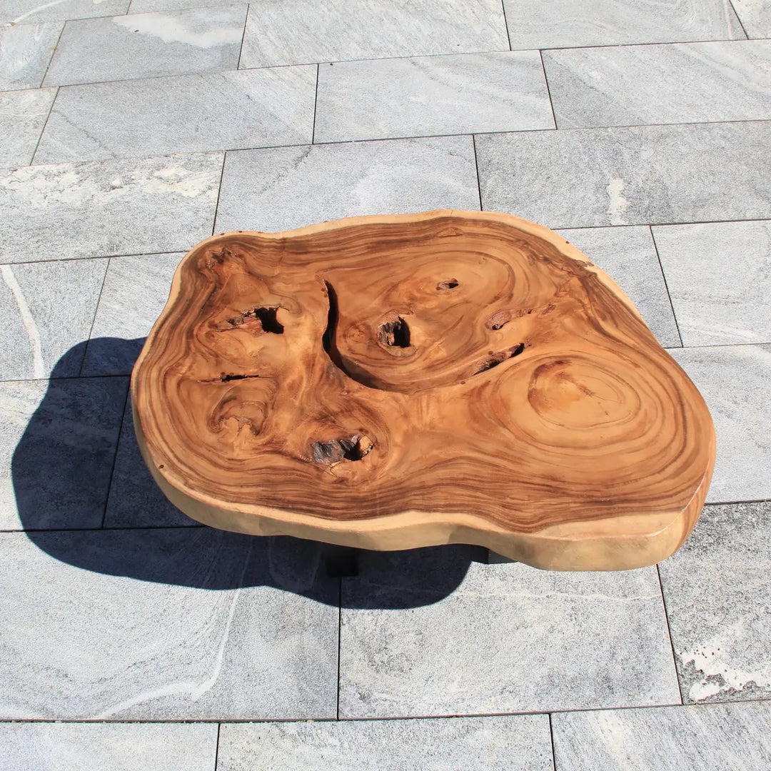 Baumscheibe Couchtisch, Baumstamm Tisch, Holzstamm Salontisch 98cm