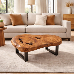 Dunkler Couchtisch aus massiver Akazien-Baumscheibe (105 x 72 x 43 cm, 8 cm starke Vollholzplatte) mit sichtbaren Jahresringen, Baumhöhlen und Live Edge, natürlich geformtes Massivholz-Unikat für stilvolle Wohnzimmer, Lounge oder Wintergarten in der Schweiz