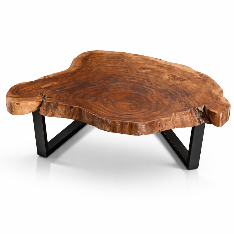 Baumscheiben-Couchtisch aus Akazie in Naturform (118 × 108 × 43 cm, 9 cm starke Platte) mit echter Baumkante und Metallgestell, massives Naturholz-Unikat für Wohnzimmer, Lounge oder Wintergarten in stilvollen Schweizer Wohnräumen