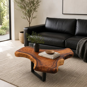 Couchtisch aus Baumscheibe, Baumstamm Tisch, Holzstammtisch 110cm