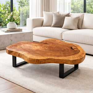 Massiver Baumstamm-Couchtisch aus asiatischer Akazien-Baumscheibe (108 x 88 x 43 cm, ca. 8 cm starke Platte) mit organischer Naturform, lebendiger Baumkante und dunklen Jahresringen, Naturholz-Unikat für Wohnzimmer mit Ecksofa oder L-Sofa in der Schweiz