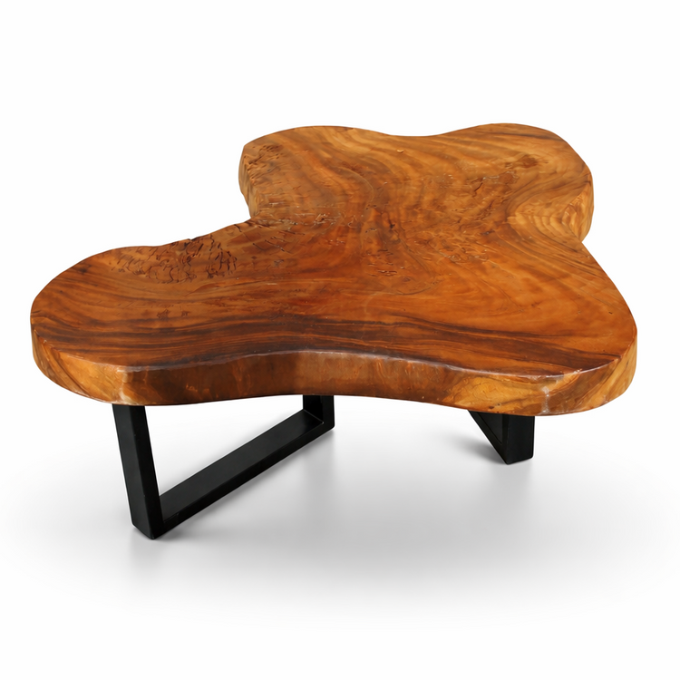 Baumstamm-Couchtisch aus umweltfreundlicher Akazien-Baumscheibe (100 x 90 x 43 cm, ca. 8 cm starke Platte) mit unregelmäßiger Naturform, lebendiger Maserung und echter Baumkante, pflegeleichtes Massivholz-Unikat für Wohnzimmer, Wintergarten oder Büro-Empfang in der Schweiz