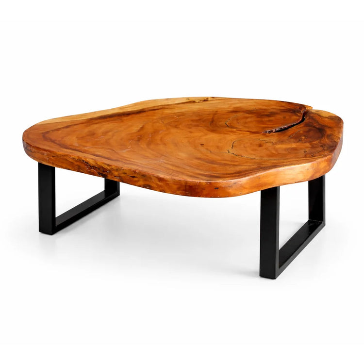 Holzstamm-Couchtisch aus massiver Akazien-Baumscheibe (126 x 86 x 43 cm, ca. 8 cm starke Platte) mit weißer Baumkante, unregelmäßiger Naturform und sichtbaren Jahresringen, großer Baumstamm-Salontisch für Sofalandschaft, Lounge oder Chalet-Wohnzimmer in der Schweiz