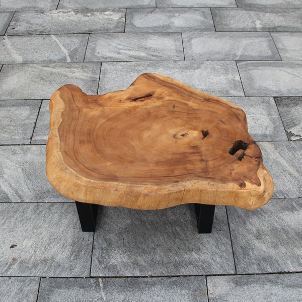 Baumtisch, Baumstamm Tisch, Couchtisch Holz, Baumscheibe Tisch kaufen