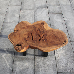 `Baumtisch aus massiver Akazie-Baumscheibe (ca. 99 x 77 x 43 cm, 8 cm starke Platte) mit frei gewachsener, blütenartiger Kontur und Baumkante, Naturholz-Couchtisch als Massivholz-Unikat für Wohnzimmer oder Chalet in der Schweiz`
