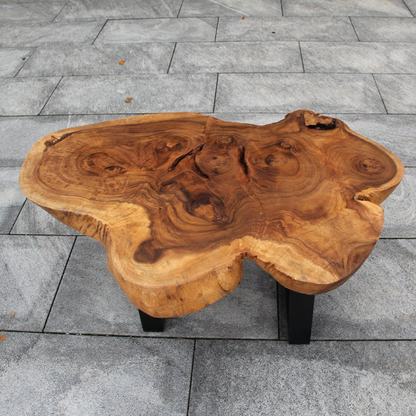 Baumtisch, Baumstamm Tisch, Couchtisch massiv Holz kaufen Schweiz