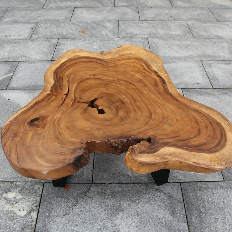 Beistelltisch aus massiver Akazien-Baumscheibe (90 x 90 x 43 cm, 8 cm starke Platte) mit unregelmäßiger Naturform, Baumkante und sichtbaren Jahresringen, nachhaltiges Naturholz-Unikat für Sofa-Ecke, Lounge oder Balkon in der Schweiz