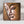 Charger l'image dans la galerie, Quadratisches Buddha Leinwandbild XXL 100 x 100 cm in warmen Brauntönen mit massivem Holzrahmen, ruhiges Buddhismus Wandbild für Wohnzimmer, Loft, Spa, Praxis oder Hotel-Lobby in der Schweiz
