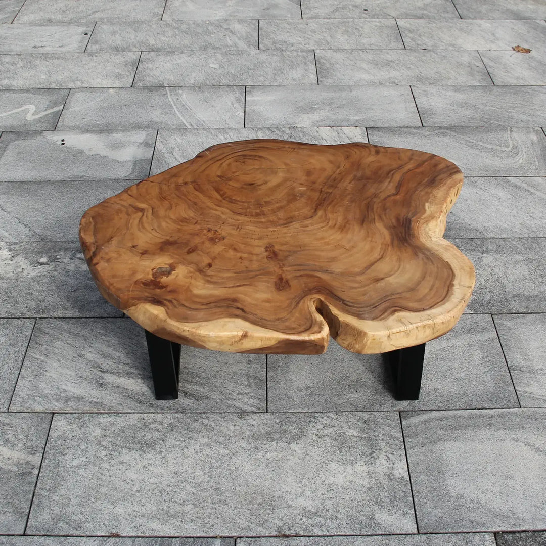 `Baumkante-Wohnzimmertisch aus massiver Akazien-Baumscheibe (110 × 100 × 43 cm, ca. 8 cm starke Platte) mit herzförmiger Einbuchtung, rundlich-organischer Form und warmer Naturbraun-Tönung auf schwarzen Metallkufen, Massivholz-Unikat für moderne Wohnungen in der Schweiz`