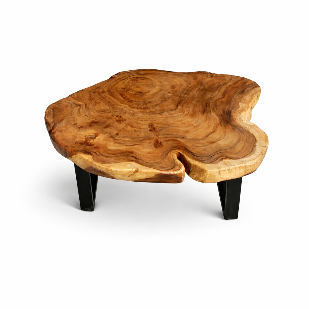 Baumkante-Wohnzimmertisch aus massiver Akazien-Baumscheibe (110 × 100 × 43 cm, ca. 8 cm starke Platte) mit herzförmiger Einbuchtung, rundlich-organischer Form und warmer Naturbraun-Tönung auf schwarzen Metallkufen, Massivholz-Unikat für moderne Wohnungen in der Schweiz