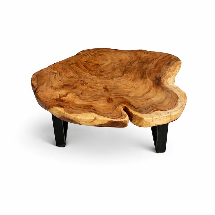 Baumkante-Wohnzimmertisch aus massiver Akazien-Baumscheibe (110 × 100 × 43 cm, ca. 8 cm starke Platte) mit herzförmiger Einbuchtung, rundlich-organischer Form und warmer Naturbraun-Tönung auf schwarzen Metallkufen, Massivholz-Unikat für moderne Wohnungen in der Schweiz