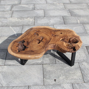 Couchtisch Akazie – Baumscheibe 96×93 cm, Live Edge mit Durchbrüchen, Unikat