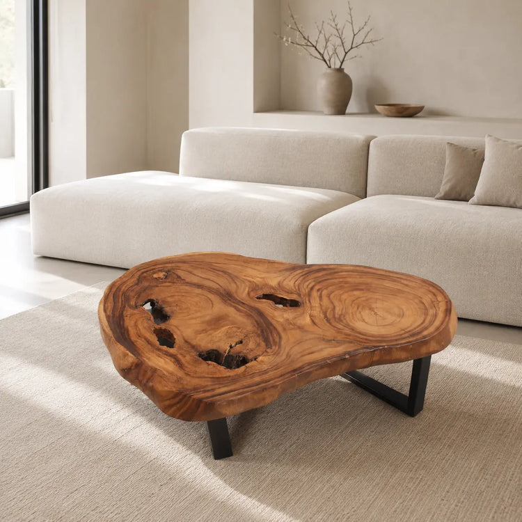 Dunkler Couchtisch aus massiver Akazien-Baumscheibe (105 x 72 x 43 cm, 8 cm starke Vollholzplatte) mit sichtbaren Jahresringen, Baumhöhlen und Live Edge, natürlich geformtes Massivholz-Unikat für stilvolle Wohnzimmer, Lounge oder Wintergarten in der Schweiz