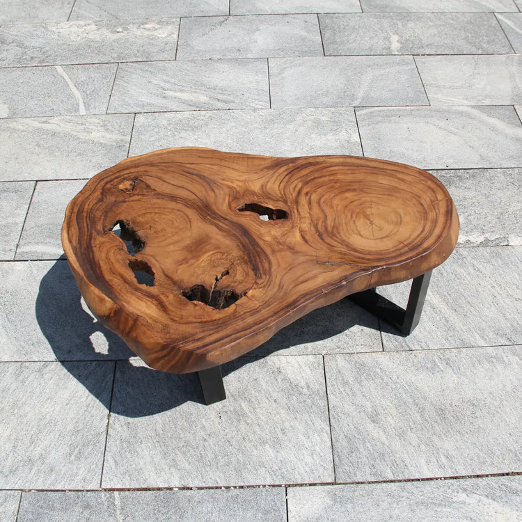 Dunkler Couchtisch aus massiver Akazien-Baumscheibe (105 x 72 x 43 cm, 8 cm starke Vollholzplatte) mit sichtbaren Jahresringen, Baumhöhlen und Live Edge, natürlich geformtes Massivholz-Unikat für stilvolle Wohnzimmer, Lounge oder Wintergarten in der Schweiz