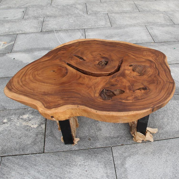 Couchtisch Baumscheibe, Baumscheibe Tisch, Holzstamm Tisch 100cm