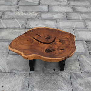 Couchtisch Baumscheibe, Baumscheibe Tisch, Holzstamm Tisch 100cm