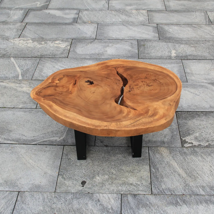 Wasserbeständiger Baumstamm-Couchtisch aus massiver Akazien-Baumscheibe (98 x 80 x 43 cm, 8 cm starke Platte) mit organischer Naturform, sichtbaren Jahresringen und schwarzen Metallfüßen, pflegeleichtes Naturholz-Unikat für Wohnzimmer und Lounge in der Schweiz