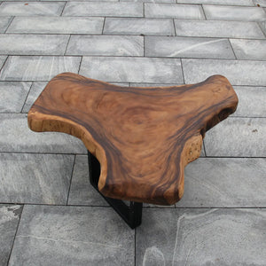 Couchtisch Baumscheibe, massiv Holz Couchtisch , Couchtisch Baumkante