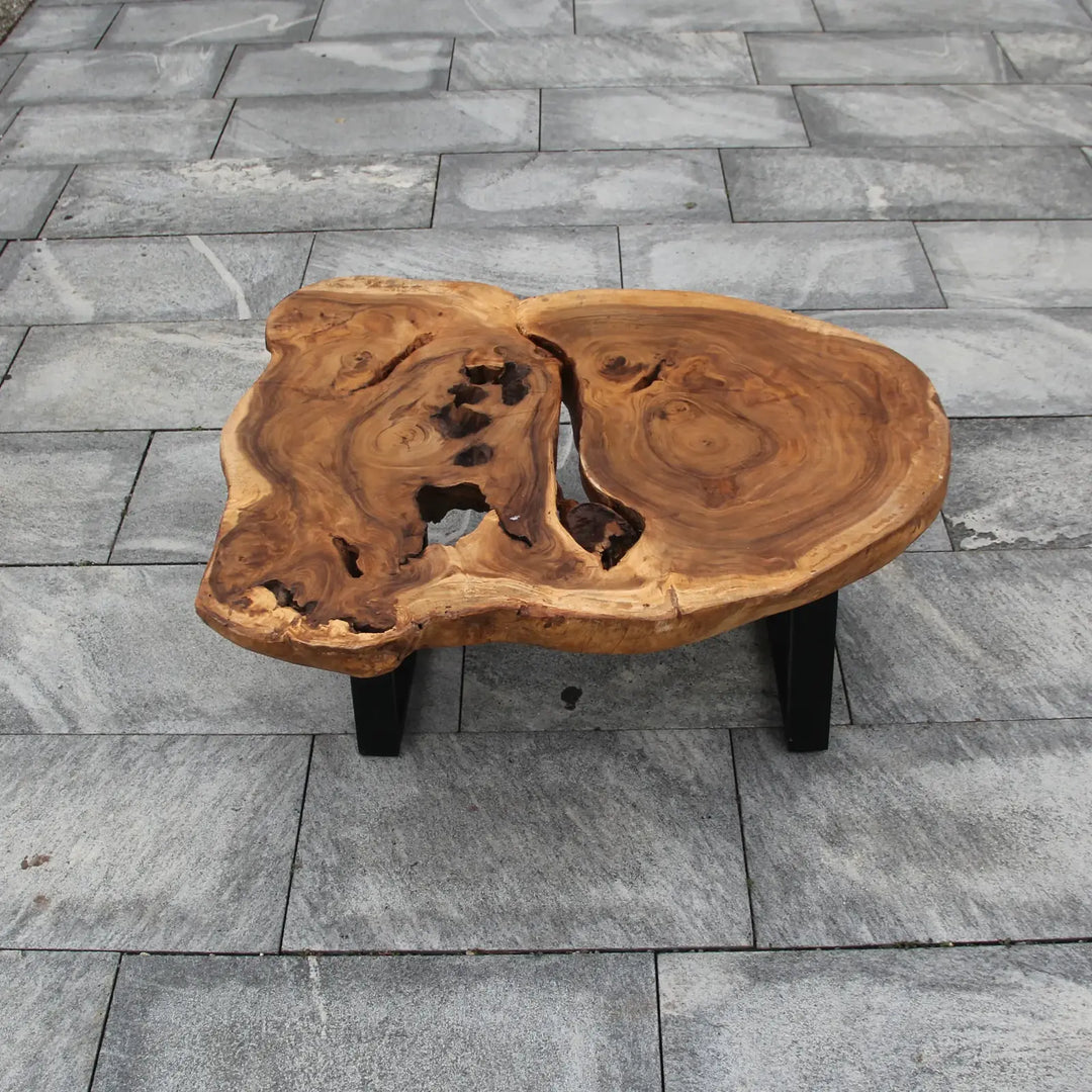Couchtisch Baumstamm, Salontisch Baumscheibe, Holzstamm Tisch 107