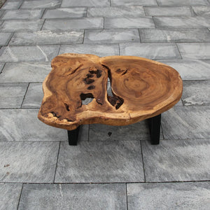 Couchtisch Baumstamm, Salontisch Baumscheibe, Holzstamm Tisch 107