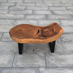 Couchtisch Holzstamm, Baumscheibe Designertisch, Baumstamm 110cm