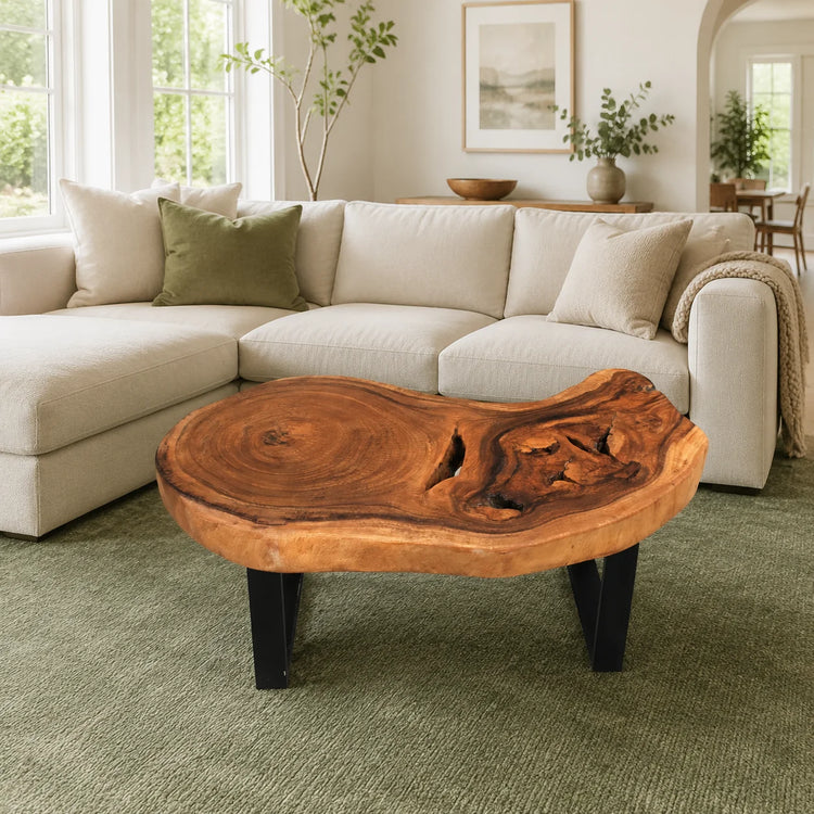 Baumscheiben-Designertisch aus massiver Akazien-Baumscheibe (110 x 75 x 43 cm, ca. 8 cm starke Platte) mit Natur-Loch, unregelmäßiger organischer Form und lebendiger Maserung, naturbelassenes Holzstamm-Unikat als Couchtisch für Lounge, Wohnzimmer oder überdachte Gartenlounge in der Schweiz
