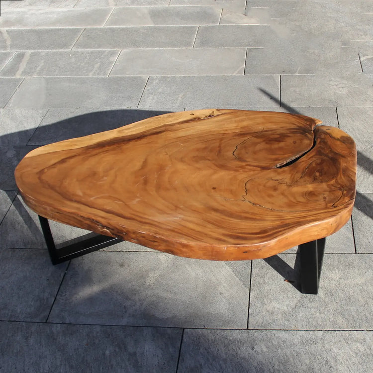 Holzstamm-Couchtisch aus massiver Akazien-Baumscheibe (126 x 86 x 43 cm, ca. 8 cm starke Platte) mit weißer Baumkante, unregelmäßiger Naturform und sichtbaren Jahresringen, großer Baumstamm-Salontisch für Sofalandschaft, Lounge oder Chalet-Wohnzimmer in der Schweiz
