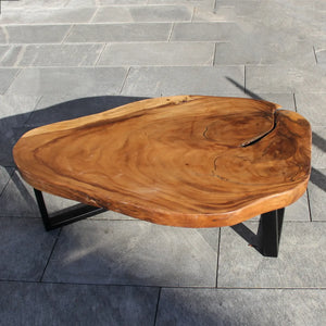 Holzstamm-Couchtisch aus massiver Akazien-Baumscheibe (126 x 86 x 43 cm, ca. 8 cm starke Platte) mit weißer Baumkante, unregelmäßiger Naturform und sichtbaren Jahresringen, großer Baumstamm-Salontisch für Sofalandschaft, Lounge oder Chalet-Wohnzimmer in der Schweiz`
