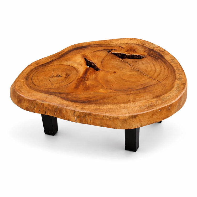Holzstamm-Couchtisch aus massiver Suar-Baumscheibe (90 x 68 x 43 cm, 8 cm starke Platte) mit organischer Form und Naturkante, kompakter Massivholz-Salontisch im asiatisch-rustikalen Stil für kleine Wohnzimmer in der Schweiz