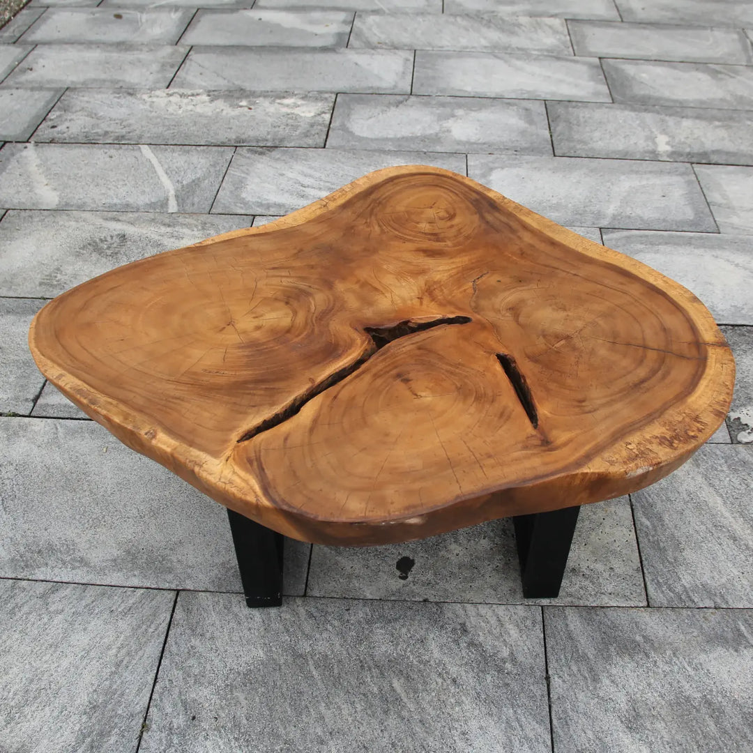`Suar-Couchtisch aus echter Baumscheibe (105 x 80 x 43 cm, ca. 8 cm starke Massivholzplatte) mit heller Naturkante und sichtbaren Jahresringen, naturbelassenes Design-Unikat für skandinavische, asiatische oder rustikale Wohnzimmer in der Schweiz`
