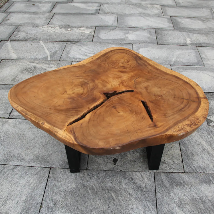 Suar-Couchtisch aus echter Baumscheibe (105 x 80 x 43 cm, ca. 8 cm starke Massivholzplatte) mit heller Naturkante und sichtbaren Jahresringen, naturbelassenes Design-Unikat für skandinavische, asiatische oder rustikale Wohnzimmer in der Schweiz

