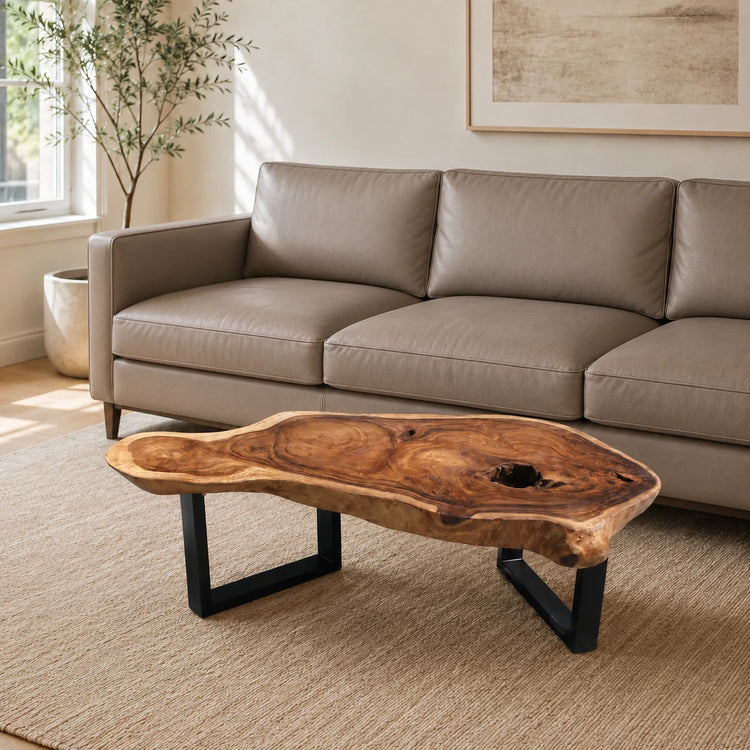 Ein massiver Freiform-Couchtisch aus Akazienholz steht vor einem taupefarbenen Sofa auf einem hellen Teppich. Die warme, lebhafte Holzmaserung, sichtbaren Jahresringe und natürlich geschwungene Baumkante machen die Tischplatte zum Blickfang. Schwarze Metallbeine bilden einen modernen Kontrast zum Holz. Seitliches Tageslicht, eine Zimmerpflanze und dezente Naturtöne verleihen dem Wohnzimmer eine helle, ruhige Atmosphäre.