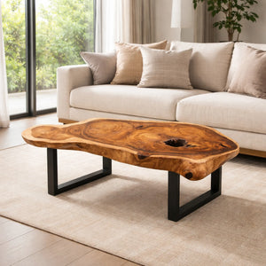 Freiform-Couchtisch aus massiver Akazien-Baumscheibe (120 x 60 x 43 cm, ca. 8 cm starke Platte) mit organischer Naturform, heller Baumkante und sichtbaren Jahresringen, Design-Unikat für stilvolle Wohnzimmer, Lounge oder Leseecke in der Schweiz