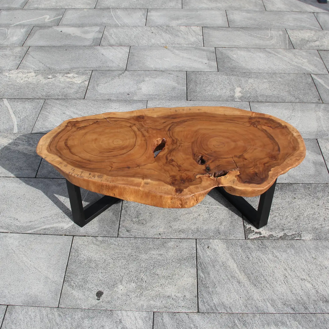 `Großer Salontisch aus massiver Akazien-Baumscheibe (Suarholz, 120 × 62 × 43 cm, 8 cm starke Platte) mit natürlicher Live Edge, Baumstamm-Wohnzimmertisch als großer Kaffeetisch oder Couchtisch Holz XXL für offene Wohnräume, Lounge oder Wintergarten in der Schweiz`
