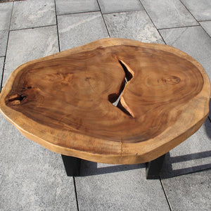 Holzscheibe Tisch, Baumstammtisch, Couchtisch Holzstamm 85cm