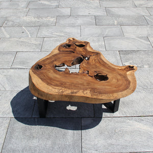 Holzstamm Salontisch, Baumscheibe für Tisch, Baumstamm Tisch kaufen