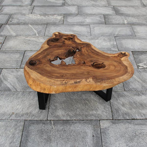 Holzstamm Salontisch, Baumscheibe für Tisch, Baumstamm als Tisch 107cm